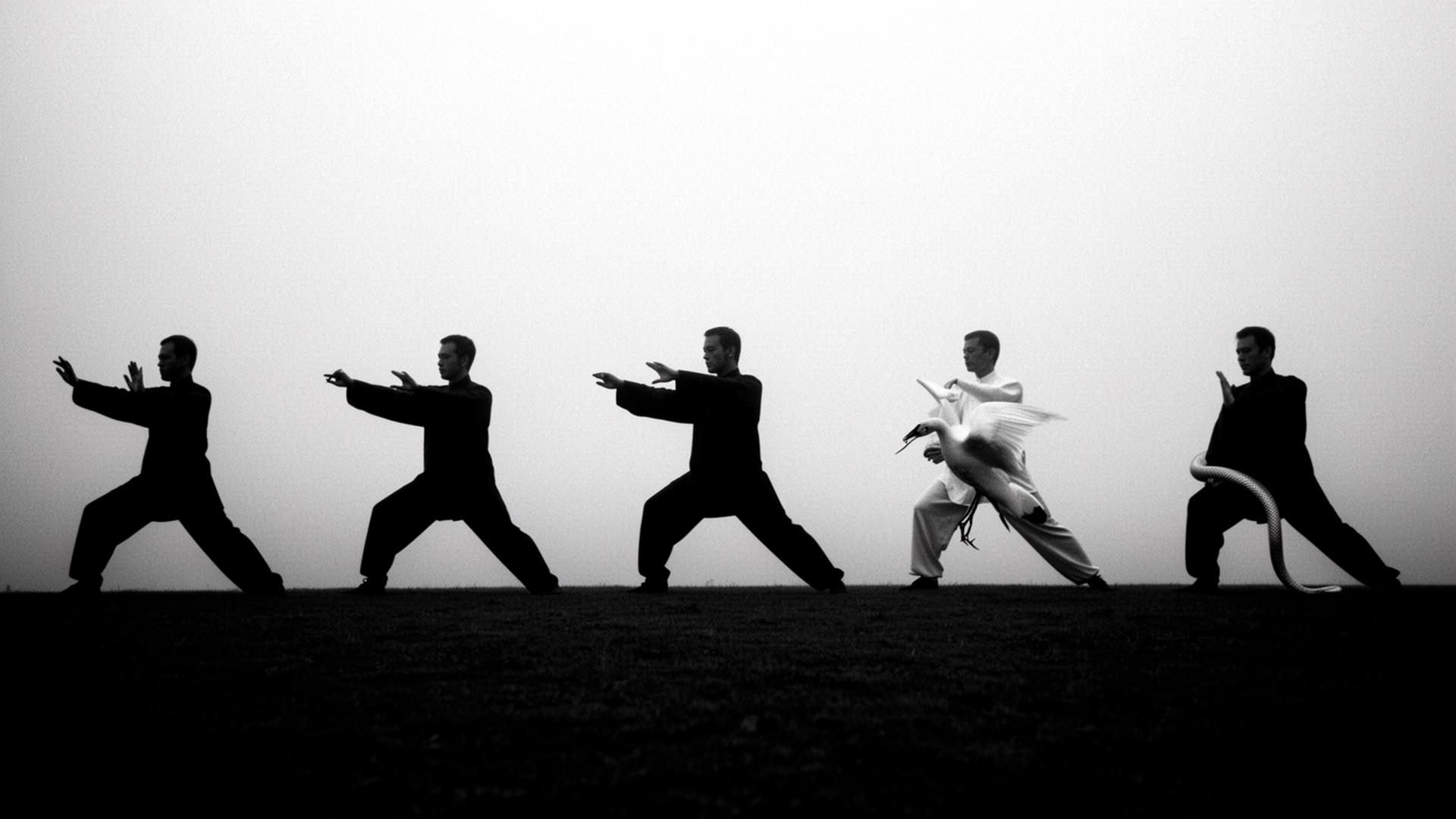 Five silhouetted practitioners side by side, each holding a different classical Taijiquan posture.